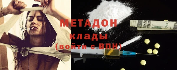PSILOCYBIN Дмитриев
