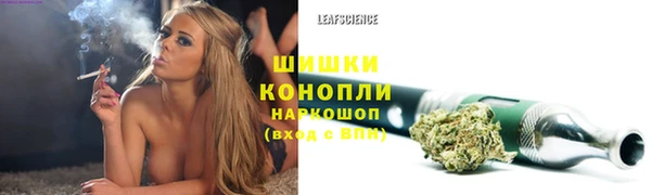 прущий лед Горняк