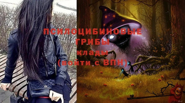эйфоретик Дмитровск