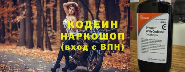 PSILOCYBIN Дмитриев