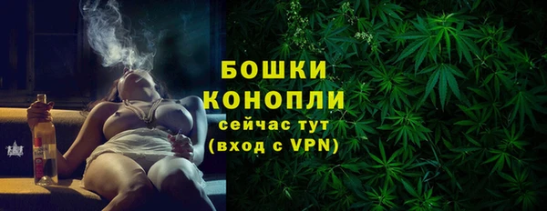 PSILOCYBIN Дмитриев