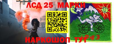 прущие грибы Будённовск