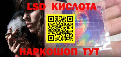 прущие грибы Будённовск