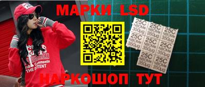 прущие грибы Будённовск