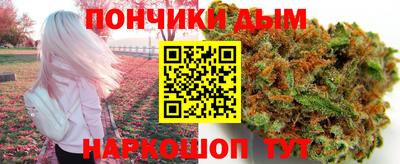 прущие грибы Будённовск