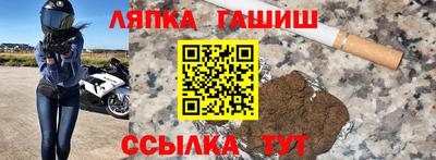 прущие грибы Будённовск