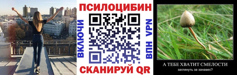 Псилоцибиновые грибы Psilocybine cubensis  Кулебаки 