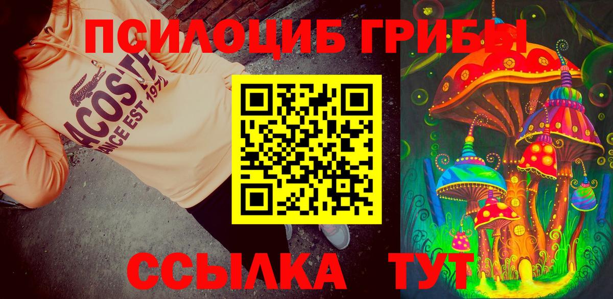 Псилоцибиновые грибы MAGIC MUSHROOMS  Вход с VPN  Кулебаки 